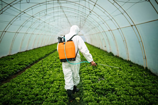 Best Affordable Pest Control Services  in Montpelier, OH