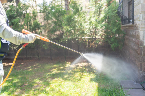 Best Flea Control Services  in Montpelier, OH