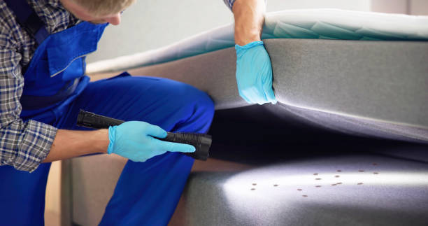 Best Pest Prevention Services  in Montpelier, OH