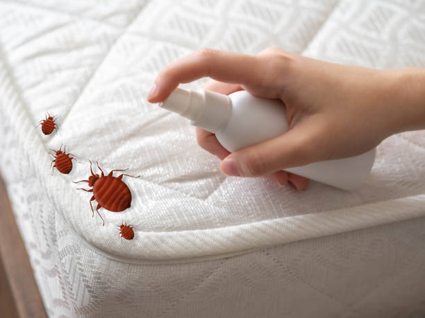 Best Cockroach Control Services  in Montpelier, OH