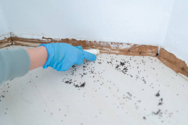 Best Best Pest Control Companies  in Montpelier, OH