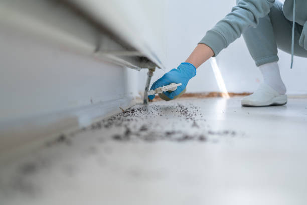 Best Bed Bug Extermination  in Montpelier, OH